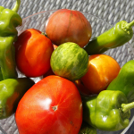 Vous pourrez profiter des légumes du potager du gîte !